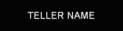W428-TELLER2 - Teller 2x8 Nameplate Only